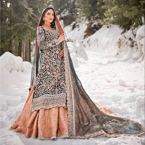 Dream Land - Raabta Collection